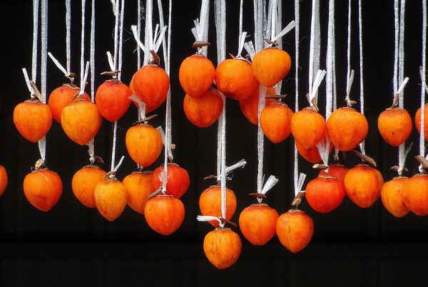 drying
                persimmons